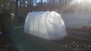 Frugal Low Cost Cold Frame